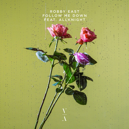 Follow Me Down (feat. ALLKNIGHT)