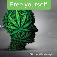 FREE HJALMAR (he the goat)