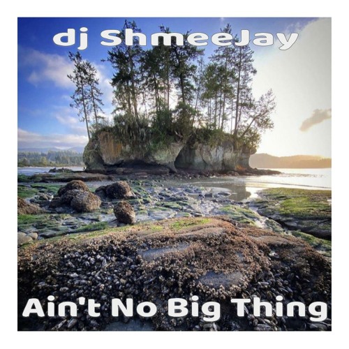 dj ShmeeJay - Ain't No Big Thing