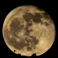 We Can Do Hard Things (Tish Melton cover)