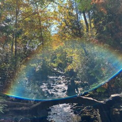 The Way I Am - Ingrid Michaelson Cover