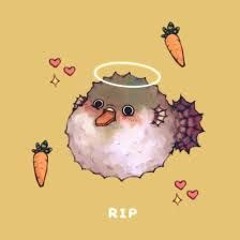 Pufferfish Eating A Carrot Freestyle