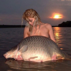 Beyoncé - What's It Gonna Be (Thiti Remix)