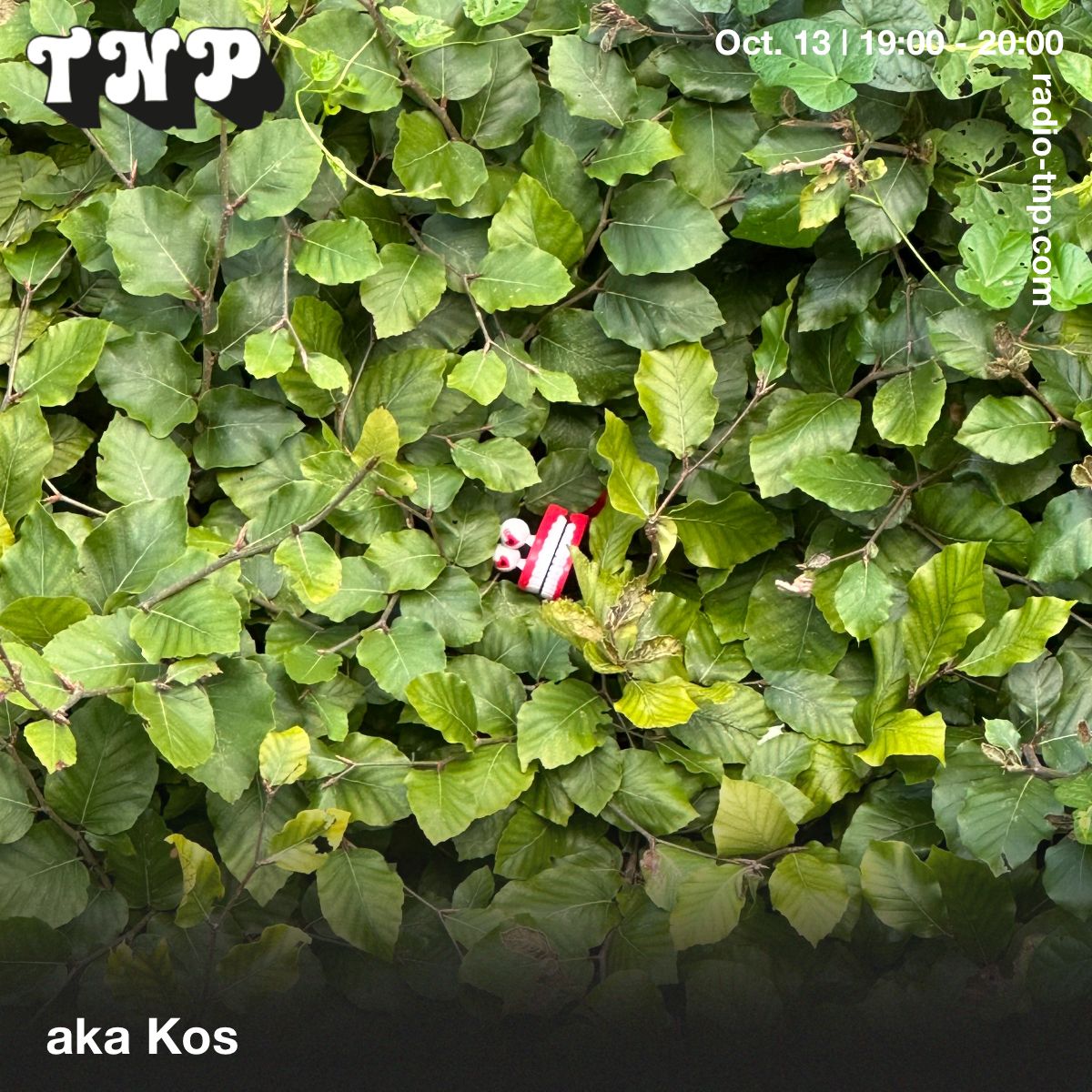 aka Kos