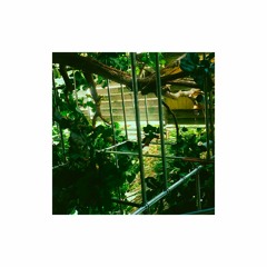 504 Aquatic - Polycarbonate