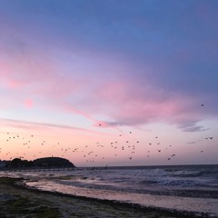 فؤاد عبدالواحد - ولا يهمك جلسه