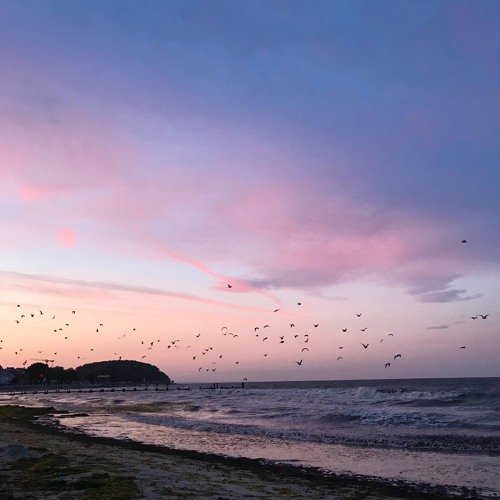 فؤاد عبدالواحد - ولا يهمك جلسه