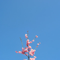 Spring Back To Action (prod. by Natse)