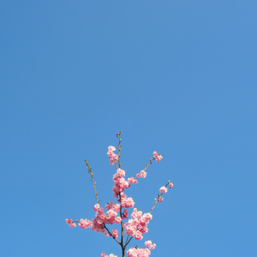 Spring Back To Action (prod. by Natse)