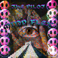 THE PILOT - MIND FLEX (original mix)