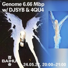Genome 6.66 Mbp w/ DJSYB & 4QU4 on Baihui Radio