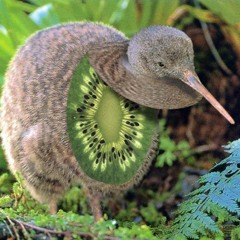 Kiwis zijn te duur