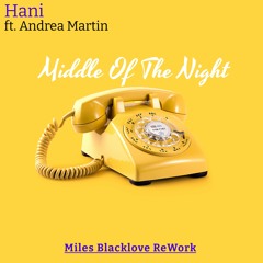 Hani Ft. Andrea Martin - Middle Of The Night (Miles Blacklove ReWork)