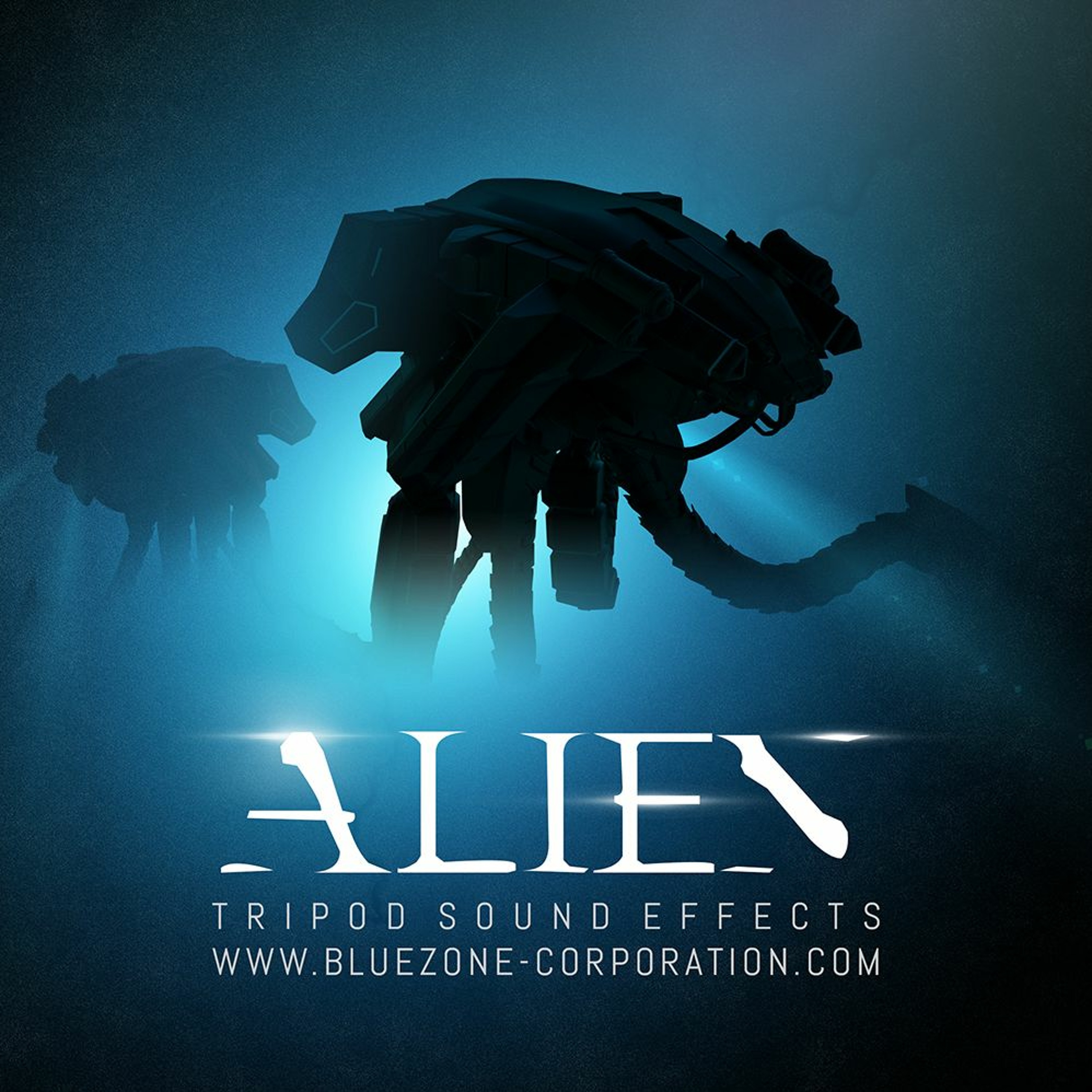 Bluezone Corporation