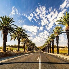 Barossa_Views
