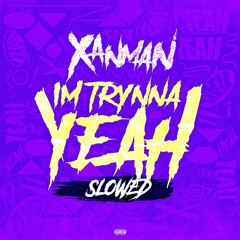 I'm Trynna Yeah (Slowed)