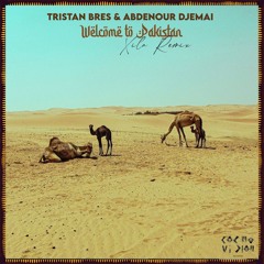 FREE DL : Tristan Bres & Abdenour Djemai - Welcome to Pakistan (Xila Remix)