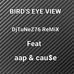 BIRDS EYE VIEW DjTuNeZ76 ReMiX Feat aap & cau$e