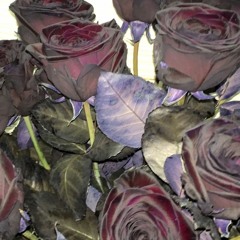 surge - pray for the dollars (dannyotb + emildollaz + eliyf) [slump audios exclusive]