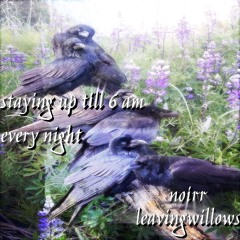noir - staying up till 6 am every night (ft. leavingwillows)