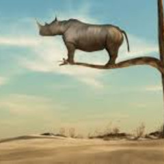 rhino. better of alone