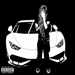 nascar (1kamui crfl)*mv in desc*