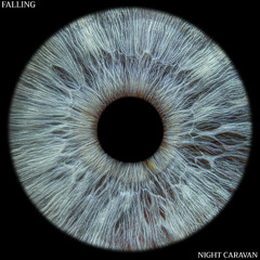 Falling