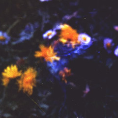 Rêve Éveillé : julo julo (29.05.25)