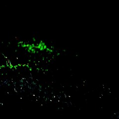 The Sickness Spreads Inside of Me