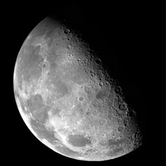 Schnuggs - Moon Moon