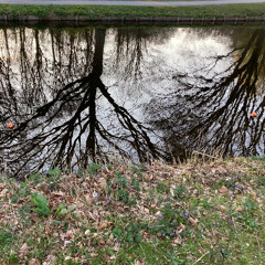 Aquatic soundscape