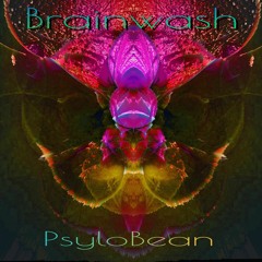 Brainwash