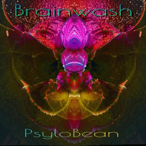 Brainwash