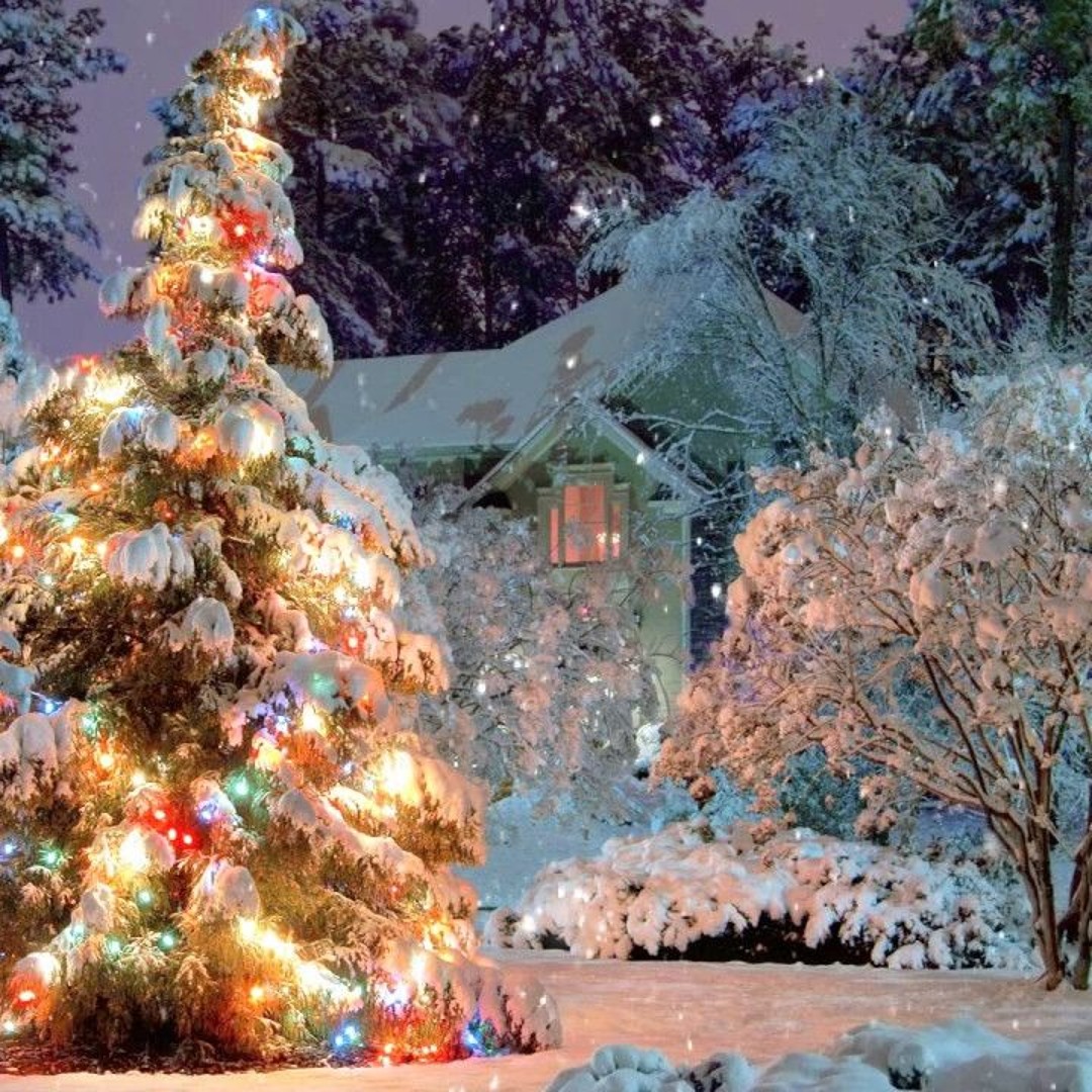 It's Christmas! (Let's do this everyday)