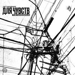 The Narcissus — Проводник для чувств