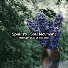 Spektre - Soul Movment (Malingen's KaB 25 Intro Edit)
