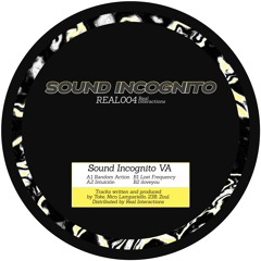 Sound Incognito VA (REAL004)Clips