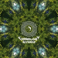 Kosmology Records Series #04 | SeaGull | Darkforest
