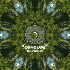 Kosmology Records Series #04 | SeaGull | Darkforest