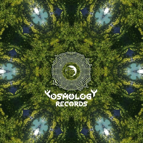Kosmology Records Series #04 | SeaGull | Darkforest