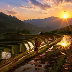 Điều dang dở ngọt ngào nhất   TIẾN MINH