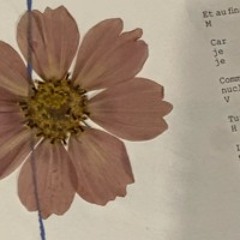 Géranium (Odezenne Cover)