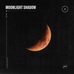 ECHO - Moonlight Shadow (Sped Up)