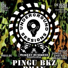 PINGU BKZ - Monkey Business Underground Sessions (Recorded Dj Set)