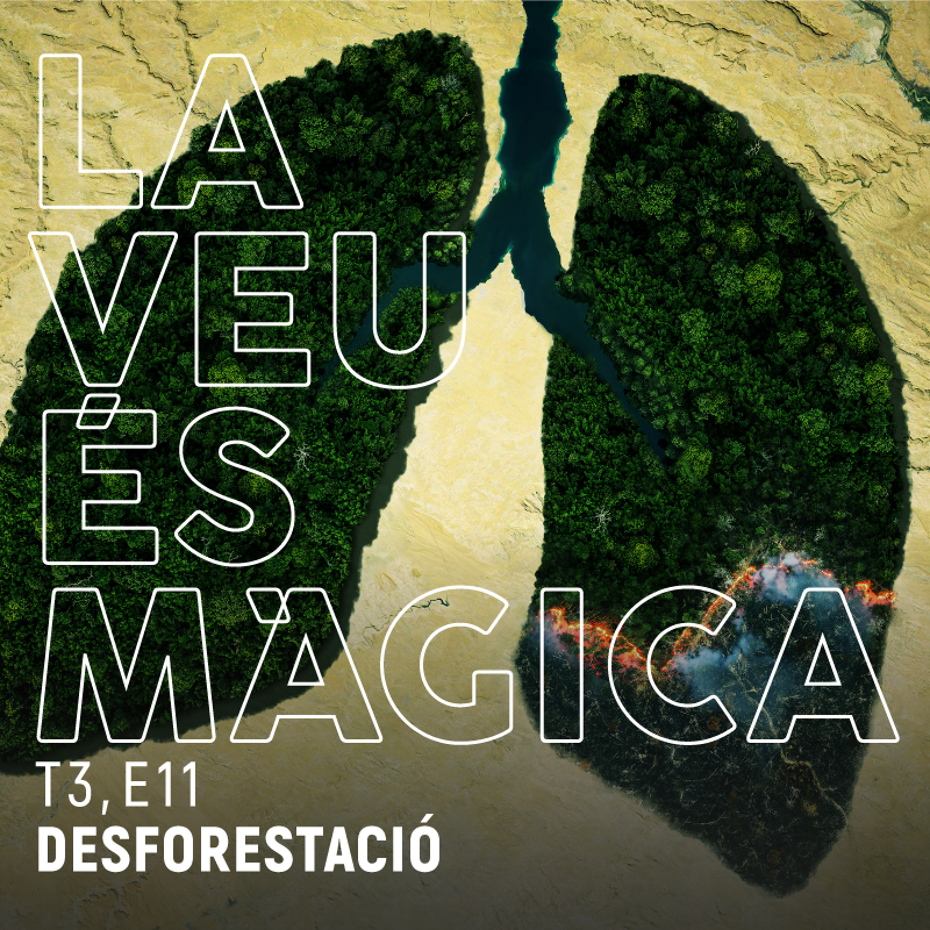 T3_E11_Desforestacio episode artwork