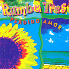 Perdido Amor