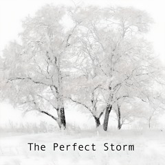 In The Perfect Storm