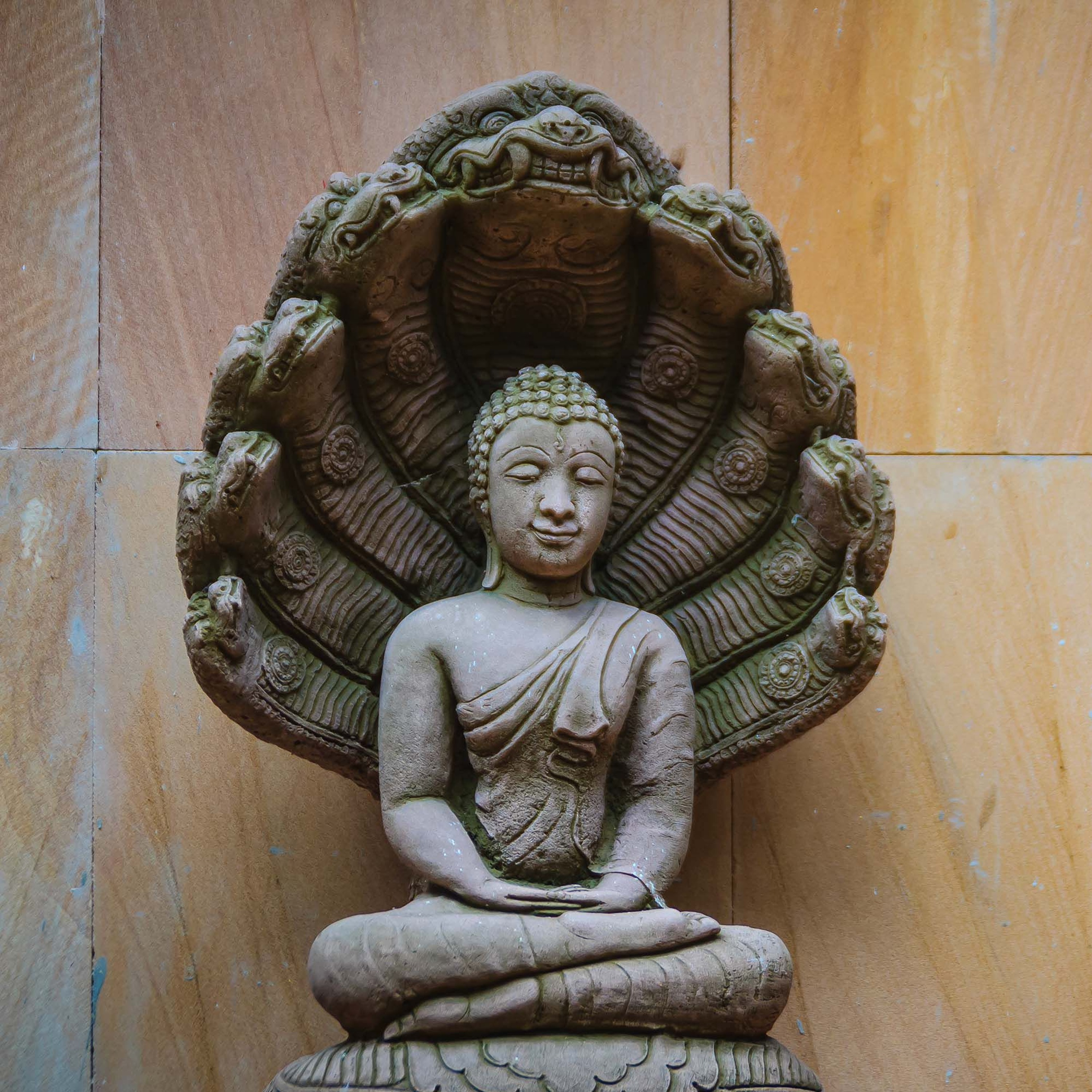 Associazione Kalyanamitta: Meditazione, Mindfulness, Buddhismo