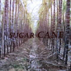Sugar Cane prod. Hostage