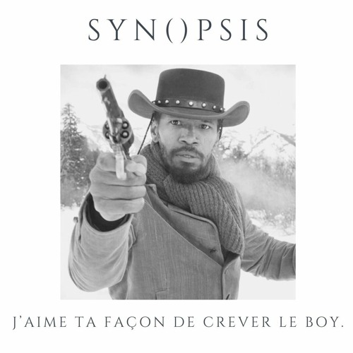 Synopsis - Django Unchained